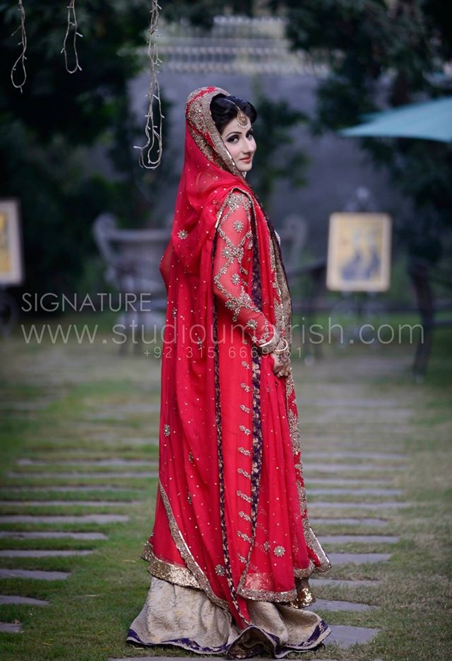 Red Bridal Dress with Skin and Purple Finishing